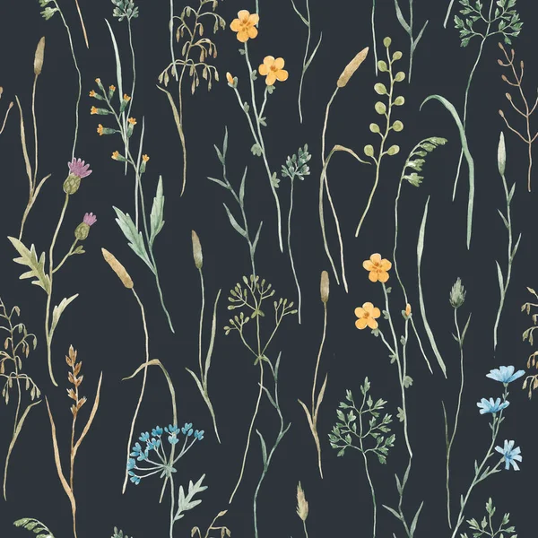 Schöne Florale Nahtlose Muster Mit Aquarell Wildkräutern Und Blumen Archivbild — Stockfoto