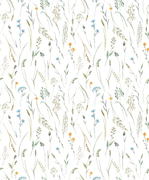 Beautiful Floral Seamless Pattern Watercolor Wild Herbs Flowers Stock Illustration —  Fotos de Stock
