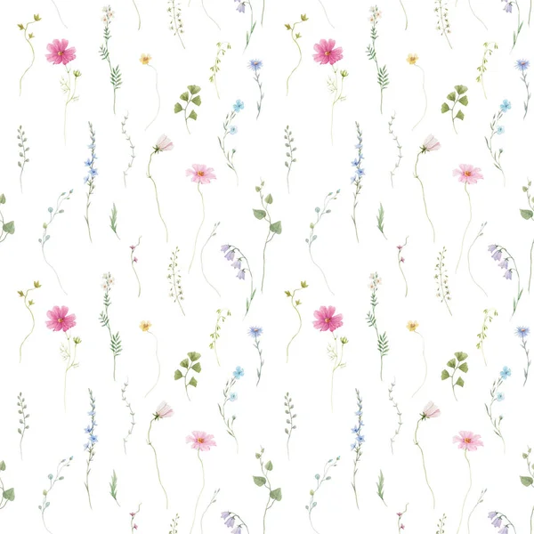 Beautiful Floral Seamless Pattern Watercolor Wild Herbs Flowers Stock Illustration — Stock Photo, Image