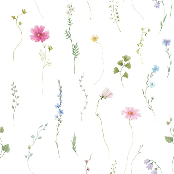 Beautiful Floral Seamless Pattern Watercolor Wild Herbs Flowers Stock Illustration — Stockfoto