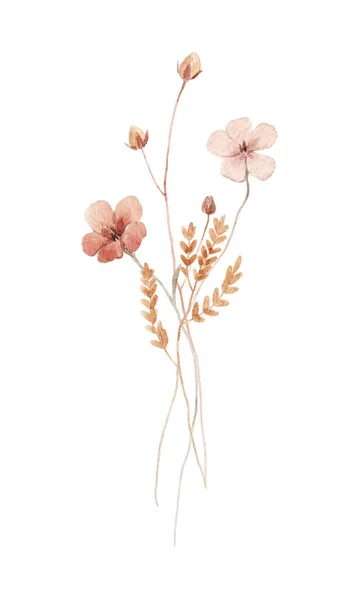 Красивая Цветочная Иллюстрация Акварелью Полевые Цветы — стоковое фото