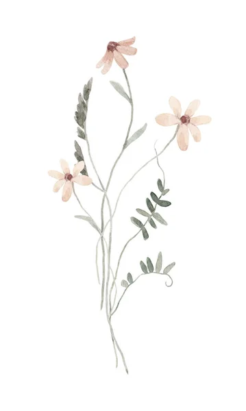 Όμορφη Floral Εικονογράφηση Αρχείου Ακουαρέλα Άγρια Λουλούδια Τομέα — Φωτογραφία Αρχείου