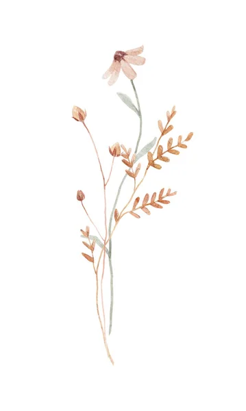 Красива Квіткова Стокова Ілюстрація Квітами Акварельних Диких Полів — стокове фото