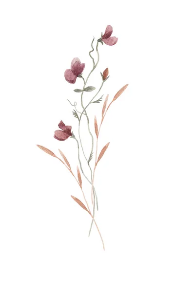 Vacker Blommig Stock Illustration Med Akvarell Vilda Fält Blommor — Stockfoto