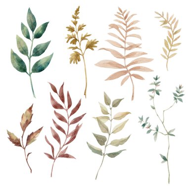 Suluboya yapraklı güzel klip sanat eserleri çizimi.