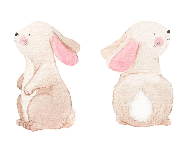 Красива Стокова Ілюстрація Намальованим Рукою Аквареллю Милий Маленький Кролик Тварина — стокове фото