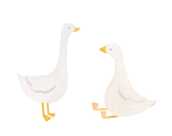 Beautiful Stock Illustration Hand Drawn Watercolor Cute Little Goose Birds — Stock Photo, Image