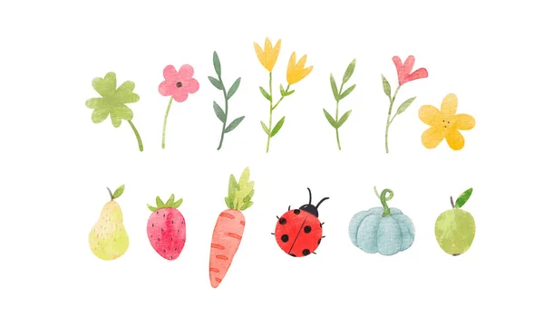 Vacker Stock Illustration Med Uppsättning Akvarell Blommor Frukter Och Andra — Stockfoto
