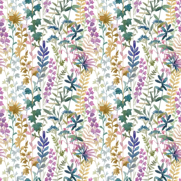 Beautiful Floral Seamless Pattern Watercolor Wild Herbs Flowers Stock Illustration — 图库照片