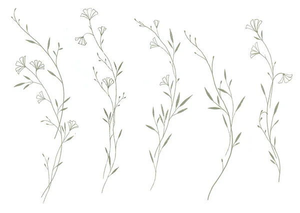 Иллюстрация Акварельной Веточкой Листьями — стоковое фото