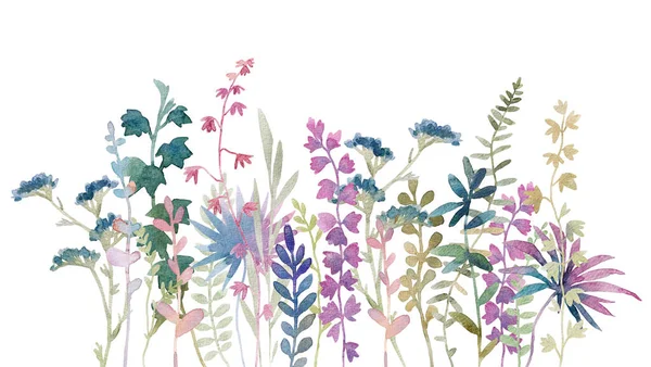 Schöne Florale Komposition Mit Aquarell Wildkräutern Und Blumen Archivbild — Stockfoto