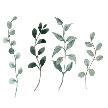 Yapraklı suluboya dallı güzel klip sanatı çizimi.