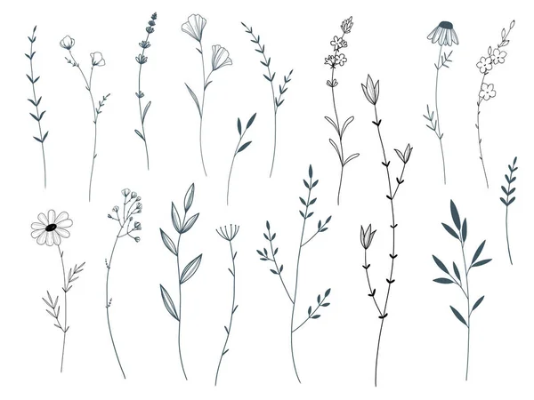 Όμορφο Κλιπ Τέχνη Στοκ Εικονογράφηση Σετ Κλαδιά Ακουαρέλα Φύλλα — Διανυσματικό Αρχείο