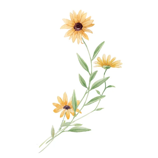 Gyönyörű Virágos Állomány Illusztráció Akvarell Vad Mezei Virágok — Stock Fotó