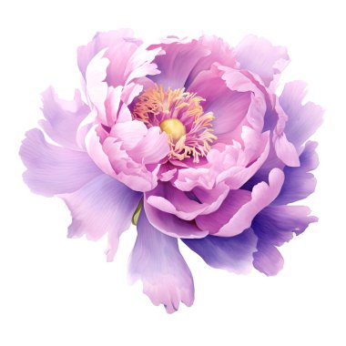 Nazik şakayık çiçekleri olan güzel bir görüntü. Çiçek stoku çizimi.