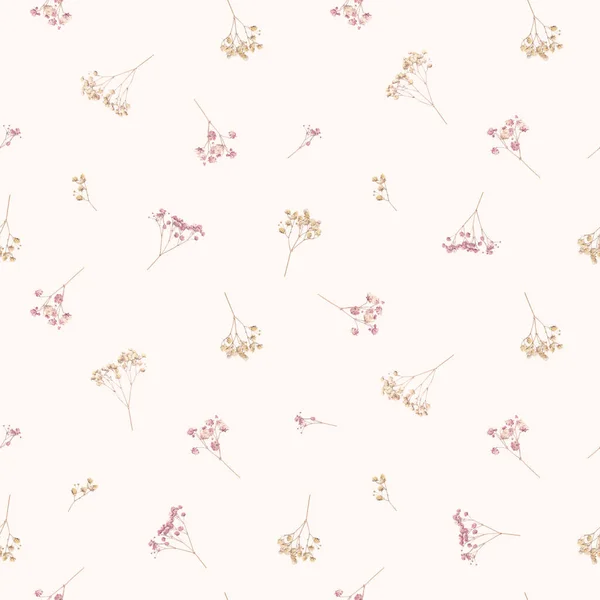 Schöne Florale Nahtlose Muster Mit Wilden Getrockneten Zigeunerblumen Archivbild — Stockfoto