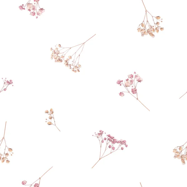 Krásný Květinový Bezešvý Vzor Divokými Sušenými Gypsophila Květy Stock Illustration — Stock fotografie