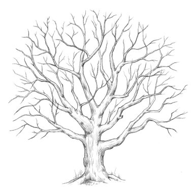 Orman ağacı ile güzel bir görüntü. Stok illüstrasyonu.