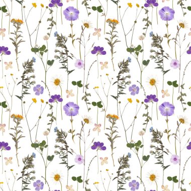 Gerçekçi otlar ve çiçeklerle süslenmiş çiçeksiz güzel bir desen. Stok illüstrasyonu.