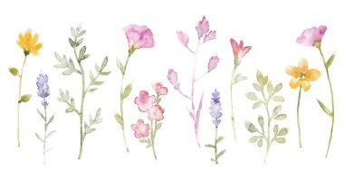 Modern suluboya çiçek vektör seti. Çağdaş elementler kolajı. El çizimi çiçekler..