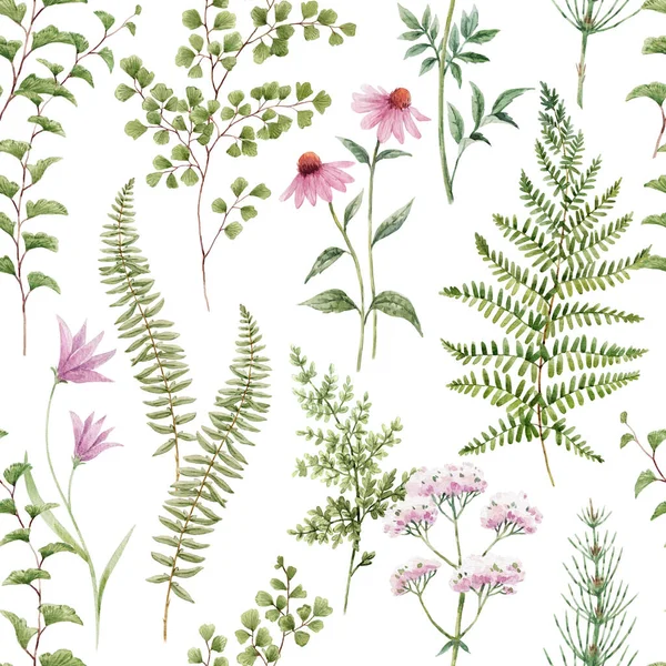 Beautiful Seamless Pattern Watercolor Forest Plant Leaves Flowers Popular Stock — Stok Foto