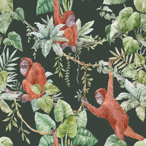美丽的热带图案 红色的毛猩猩在丛林中植物和棕榈树叶子 包装材料 壁纸和纺织品的存货设计 — 图库照片