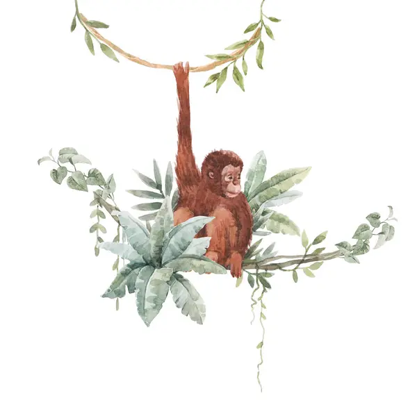 Hermosa Composición Con Acuarela Pelo Rojo Orangután Ambiente Tropical Pinza —  Fotos de Stock