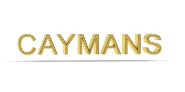 Altın 3D Cayman yazıtları beyaz arkaplanda izole edildi - 3D oluşturma