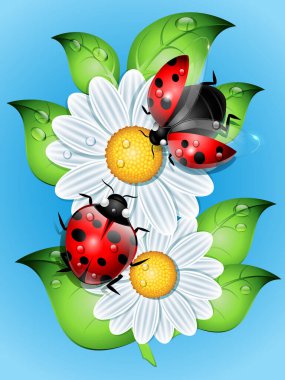 Illustration of a ladybug sitting on white flower clipart