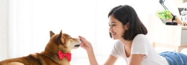 Banner cover design. Jocund young Asian woman lying on floor playing with Shiba Inu, Japanese dog. Cheerful and nice couple with people and pet. Pet Lover concept
