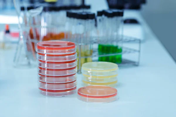 在实验室收集带有培养基的培养皿 — 图库照片