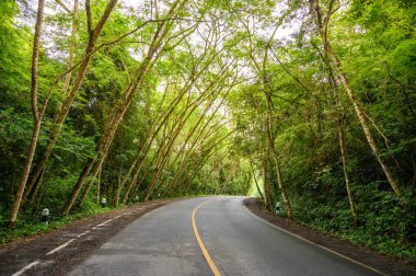 Tayland ormanlarında simetrik bir vadiye giden sarı çizgileri olan boş bir yol.