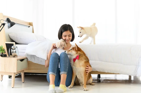 Ung Asiatisk Kvinna Leker Med Tre Hundar Brun Shiba Inu — Stockfoto