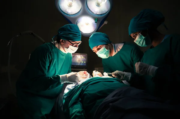 Egy Csoport Koncentrált Sebészeti Orvos Csoport Akik Sebészeti Betegeket Csinálnak — Stock Fotó
