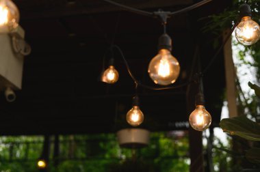 Bahçe dekorasyonu için üzüm ağacından sarkan klasik ampul.