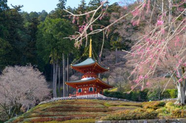 Japonya, Minoh, Osaka 'daki Katsuo-ji Tapınağı' nın manzarası. Daruma Bebekleri Tapınağı. Gezmek için ünlü bir yer.