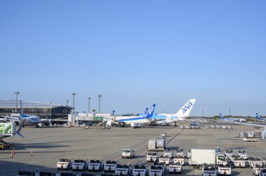 Narita, Japonya 9 Nisan 2025. Tüm Nippon Havayolları (ANA) uçakları hizmet veriyor, Tokyo 'daki Narita Uluslararası Havaalanı' nın (NRT) yolcu kapısına park edildi.