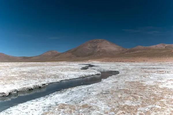 Şili 'de tuz düzlüğü ligi