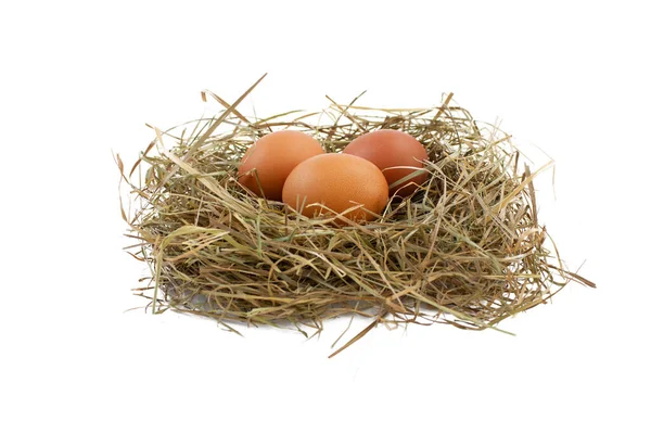 Свежие Куриные Яйца Гнезде Белом Фоне — стоковое фото