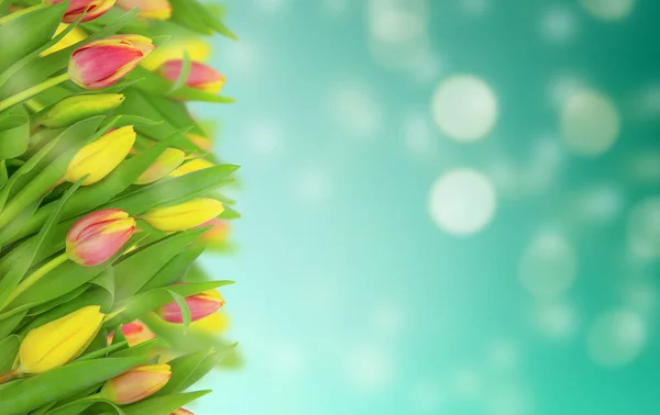 Veel Roze Gele Tulpen Een Blauwe Achtergrond Voorjaarsspandoek Kopieer Ruimte — Stockfoto