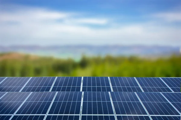 Painéis Solares Fechar Planta Energia Painéis Solares Alternativos — Fotografia de Stock