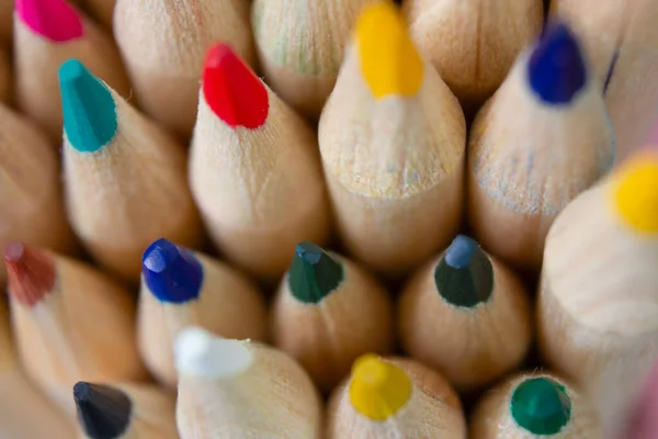 多色の木製鉛筆マクロ クローズアップ 選択的な焦点 — ストック写真