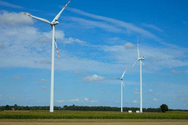 Rüzgâr türbinleri, güneşli ve açık bir arazide rüzgâr enerjisinden yararlanarak dik dururlar..