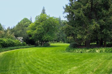 Kıvrımlı patika, ağaçlarla dolu yeşil çimenli bir alana çıkıyor..