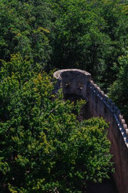 Yoğun yeşillik içinde duran taş bir duvar tarihi mimariyi gözler önüne seriyor..