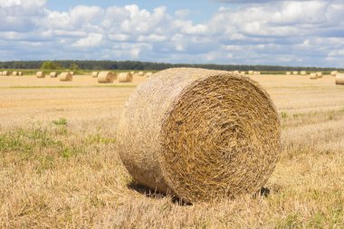Yuvarlak bir saman balyası bulutlu bir gökyüzünün altında altın bir tarlada duruyor..
