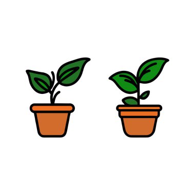 Renk olarak bir çift plan, tencere ve yaprak