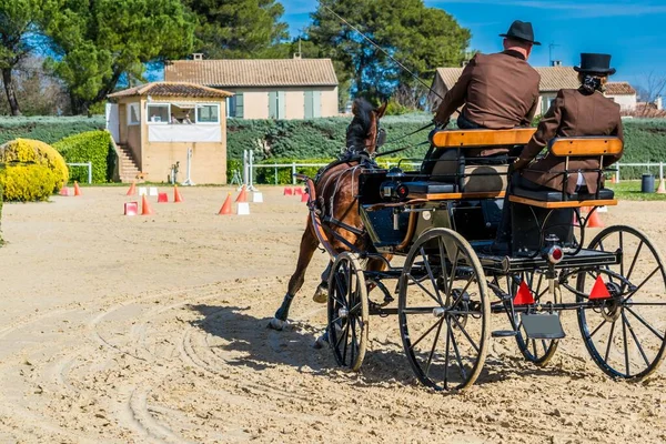 Paardensport Rijden Dressuur Manoeuvreerbaarheid Wedstrijden — Stockfoto