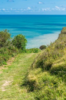 Normandiya Alabaster Sahili 'ndeki tebeşir uçurumu. Fransa.