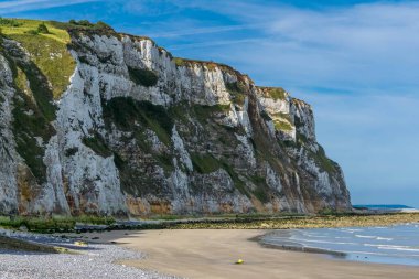 Normandiya Alabaster Sahili 'ndeki tebeşir uçurumu. Fransa.